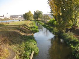 Vltava 6-Modřanský jez 21.10.08 (2).JPG